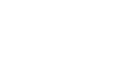 decoy