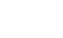 3t