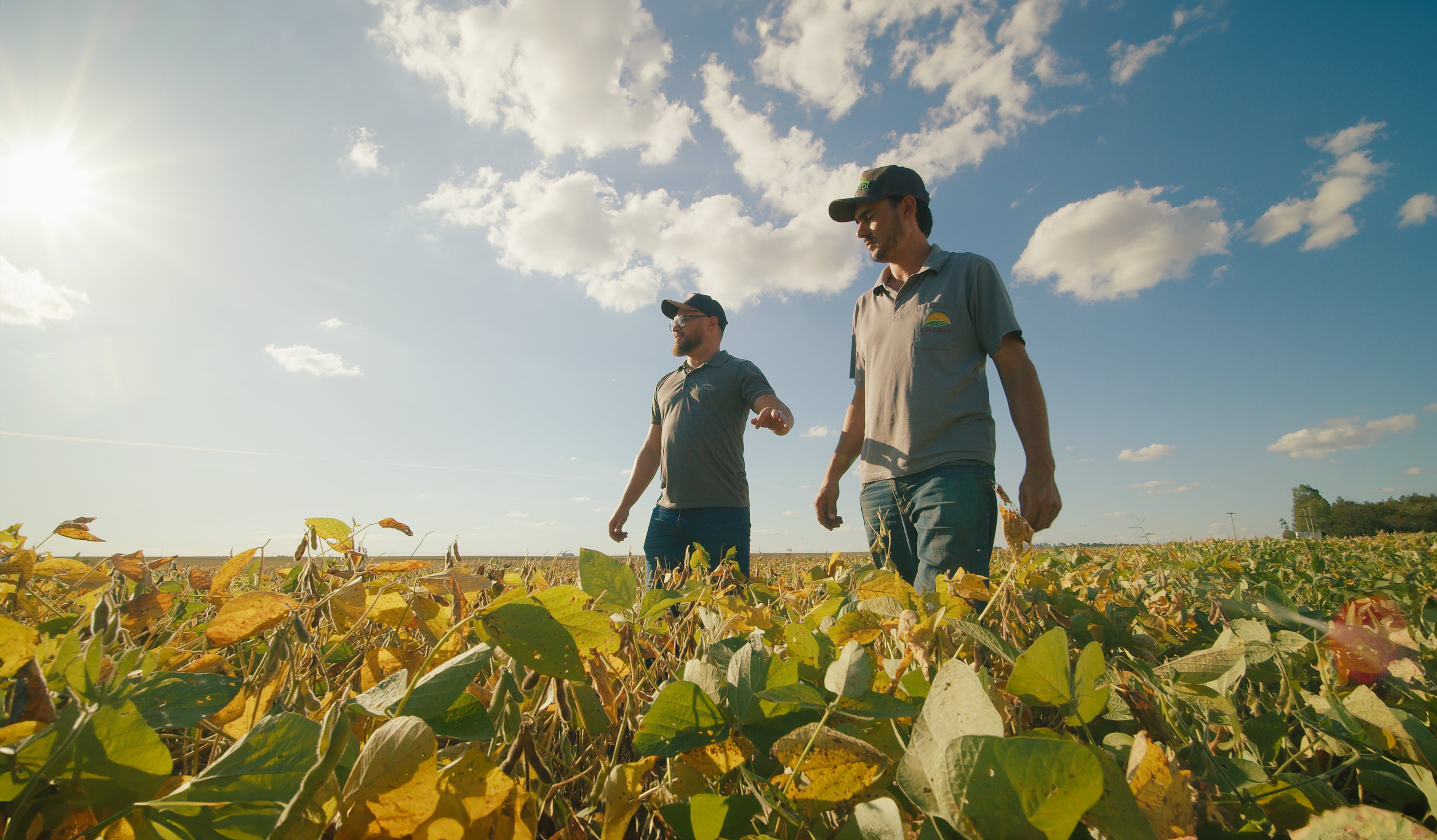 Portfolio Agrosol - Institucional