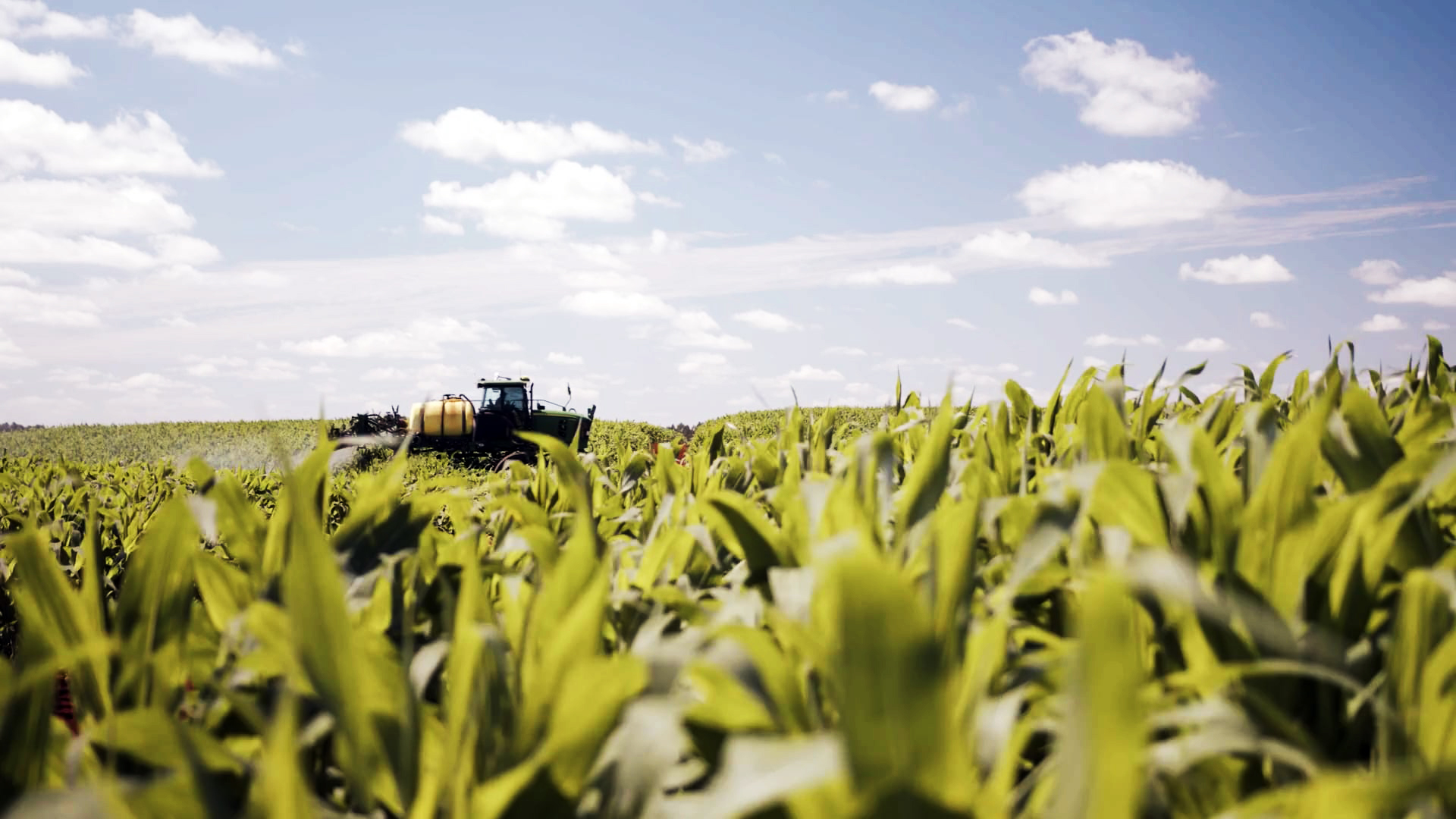 Portfolio Viera Agrocereais - Webserie Valora - Desenvolvimento