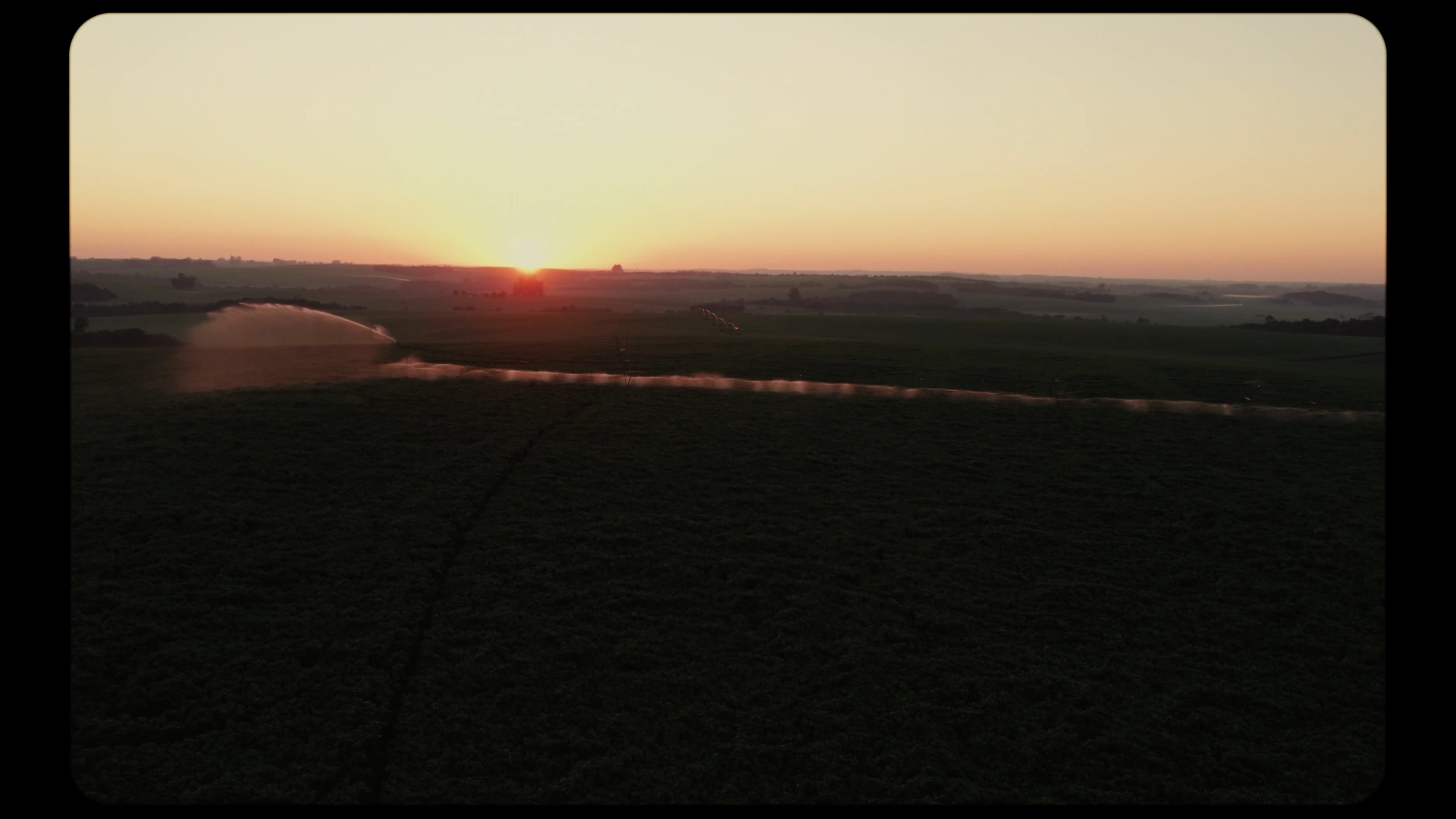 Portfolio Cambaí Sementes - Mais Vigor Mais Confiança